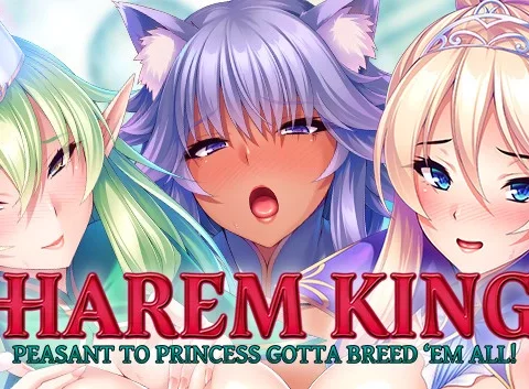 Harem King: Peasant to Princess Gotta Breed Em All