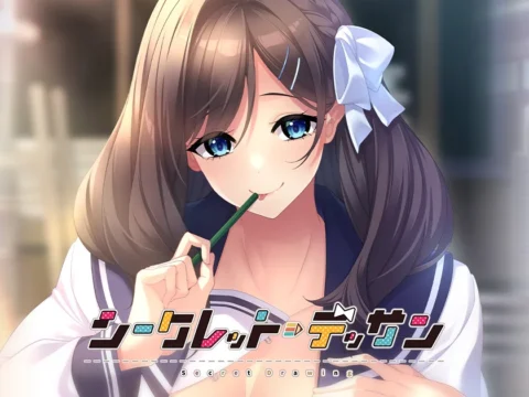 シークレット・デッサン 豪華版