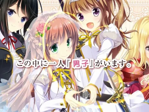 Otome Kishi Ima Sugu Watashi o Dakishimete