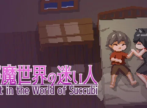 Lost in the World of Succubi