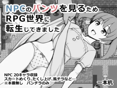 NPCのパンツを見るためRPG世界に転生してきました