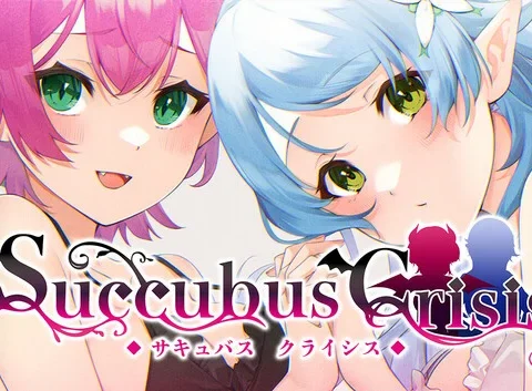 Succubus Crisis