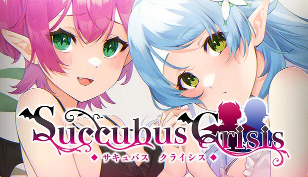 Succubus Crisis