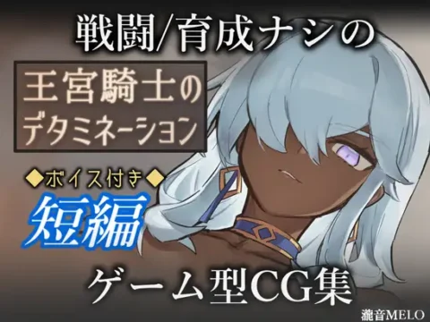 王宮騎士のデタミネーション
